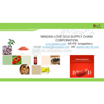 High quality goji berry ---2016 gojiscm offer